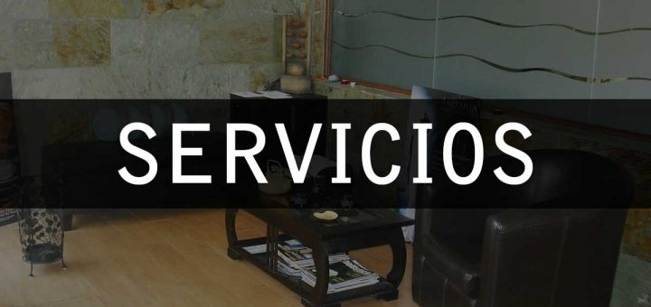 Centro Indigo Servicios