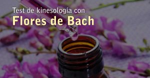 Test de kinesología con Flores de Bach